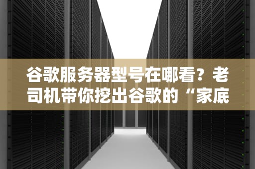 谷歌服务器型号在哪看？老司机带你挖出谷歌的“家底”！（附全网最全查看攻略）