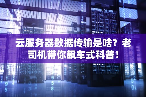 云服务器数据传输是啥？老司机带你飙车式科普！