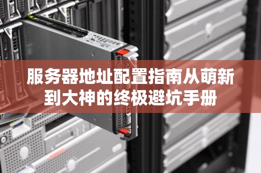 服务器地址配置指南从萌新到大神的终极避坑手册