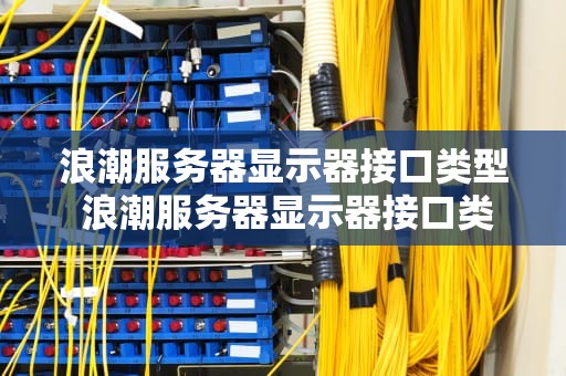 浪潮服务器显示器接口类型 浪潮服务器显示器接口类型图