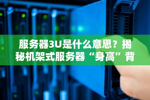 服务器3U是什么意思？揭秘机架式服务器“身高”背后的秘密！