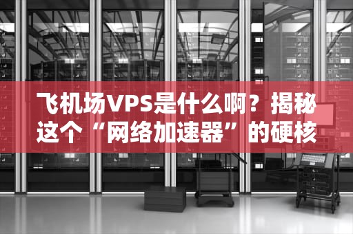 飞机场VPS是什么啊？揭秘这个“网络加速器”的硬核真相！