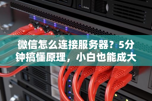 微信怎么连接服务器？5分钟搞懂原理，小白也能成大神！