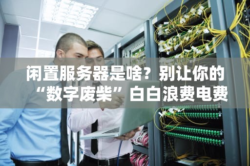 闲置服务器是啥？别让你的“数字废柴”白白浪费电费！