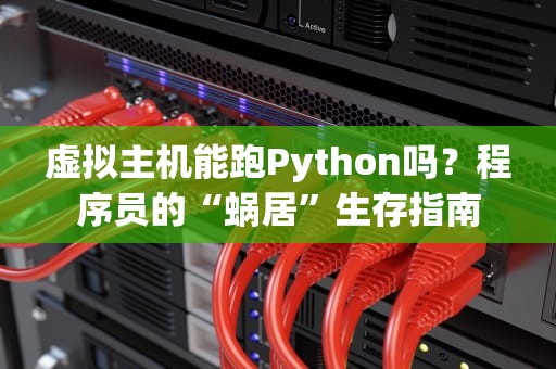 虚拟主机能跑Python吗？程序员的“蜗居”生存指南