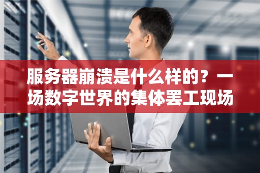 服务器崩溃是什么样的？一场数字世界的集体罢工现场直击！