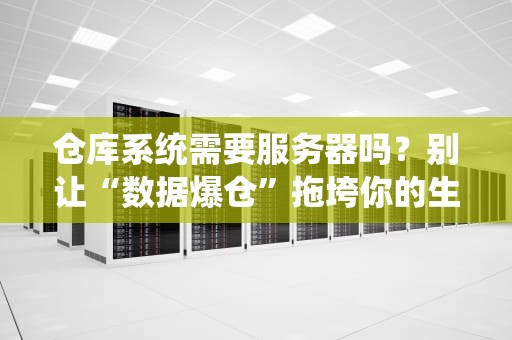 仓库系统需要服务器吗？别让“数据爆仓”拖垮你的生意！