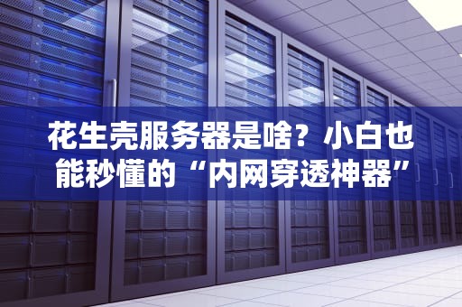 花生壳服务器是啥？小白也能秒懂的“内网穿透神器”科普！
