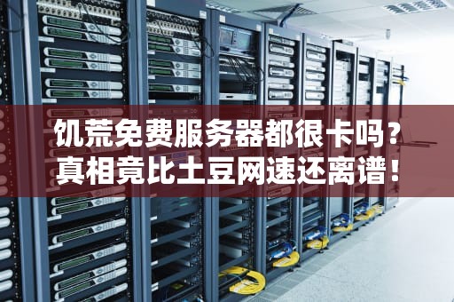 饥荒免费服务器都很卡吗？真相竟比土豆网速还离谱！