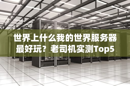 世界上什么我的世界服务器最好玩？老司机实测Top5，萌新避坑指南！