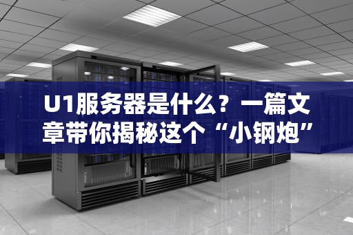 U1服务器是什么？一篇文章带你揭秘这个“小钢炮”的硬核实力！