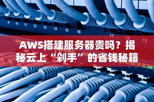 AWS搭建服务器贵吗？揭秘云上“剁手”的省钱秘籍！