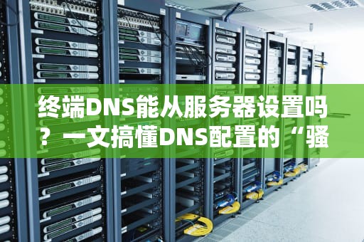终端DNS能从服务器设置吗？一文搞懂DNS配置的“骚操作”