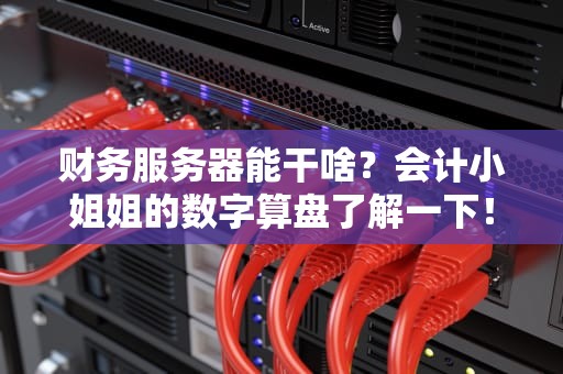 财务服务器能干啥？会计小姐姐的数字算盘了解一下！