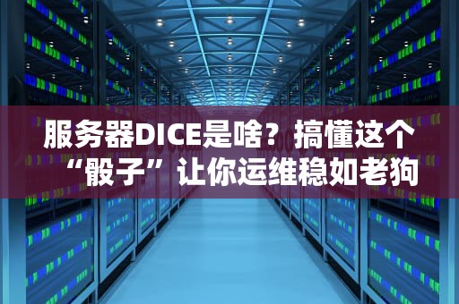 服务器DICE是啥？搞懂这个“骰子”让你运维稳如老狗！