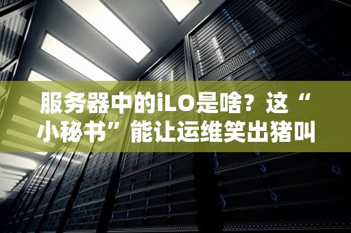 服务器中的iLO是啥？这“小秘书”能让运维笑出猪叫！