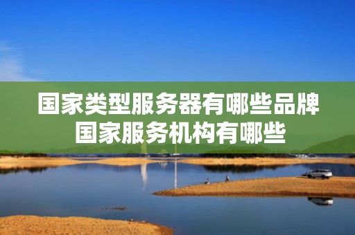 国家类型服务器有哪些品牌 国家服务机构有哪些