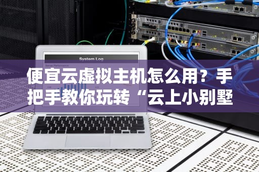 便宜云虚拟主机怎么用？手把手教你玩转“云上小别墅”！