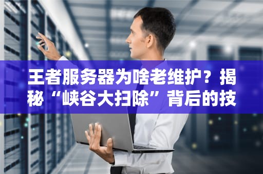 王者服务器为啥老维护？揭秘“峡谷大扫除”背后的技术玄机！