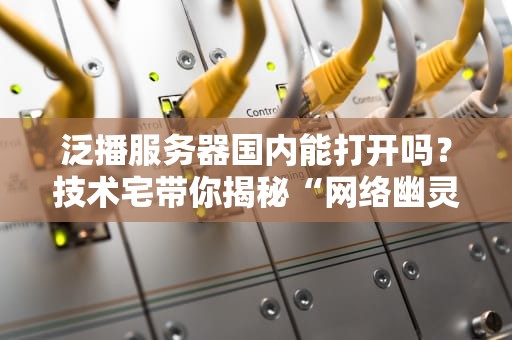泛播服务器国内能打开吗？技术宅带你揭秘“网络幽灵”的生存法则！