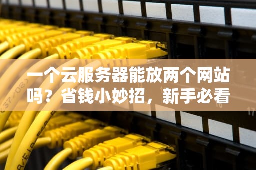 一个云服务器能放两个网站吗？省钱小妙招，新手必看！