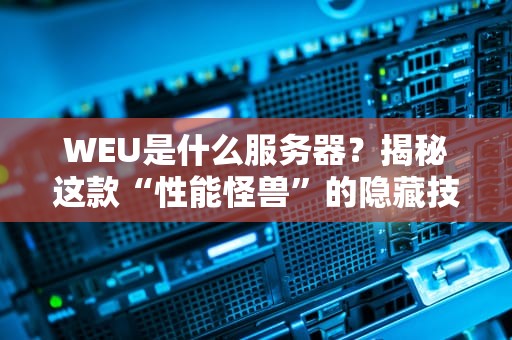 WEU是什么服务器？揭秘这款“性能怪兽”的隐藏技能（附实测数据）