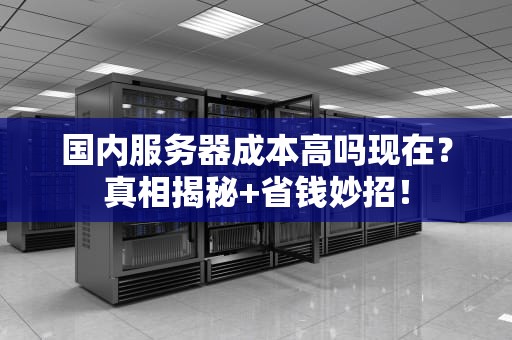 国内服务器成本高吗现在？真相揭秘+省钱妙招！