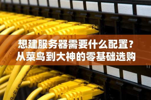想建服务器需要什么配置？从菜鸟到大神的零基础选购指南！