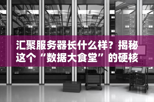 汇聚服务器长什么样？揭秘这个“数据大食堂”的硬核真面目！