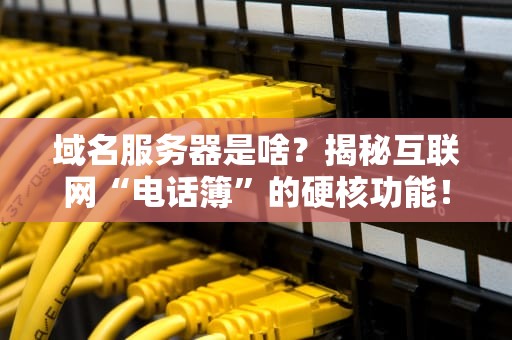 域名服务器是啥？揭秘互联网“电话簿”的硬核功能！