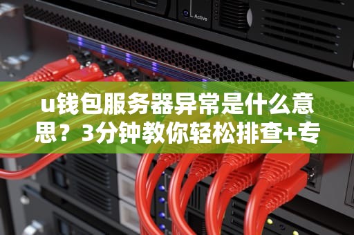 u钱包服务器异常是什么意思？3分钟教你轻松排查+专业解决方案！
