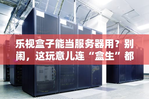 乐视盒子能当服务器用？别闹，这玩意儿连“盒生”都迷茫了！