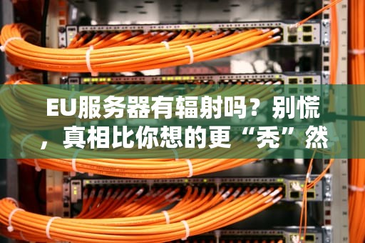 EU服务器有辐射吗？别慌，真相比你想的更“秃”然！