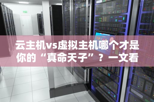 云主机vs虚拟主机哪个才是你的“真命天子”？一文看懂区别和用途！