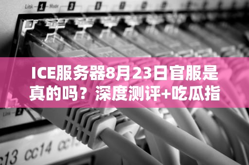 ICE服务器8月23日官服是真的吗？深度测评+吃瓜指南！