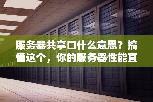 服务器共享口什么意思？搞懂这个，你的服务器性能直接起飞！