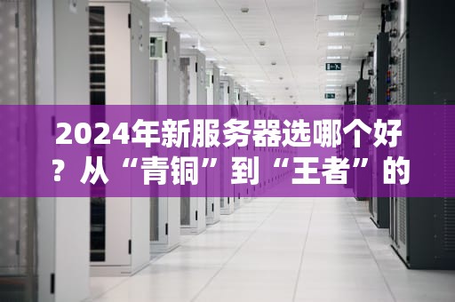 2024年新服务器选哪个好？从“青铜”到“王者”的保姆级避坑指南！