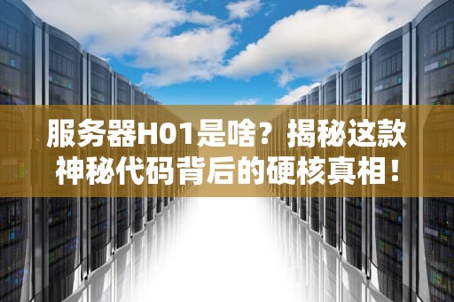 服务器H01是啥？揭秘这款神秘代码背后的硬核真相！