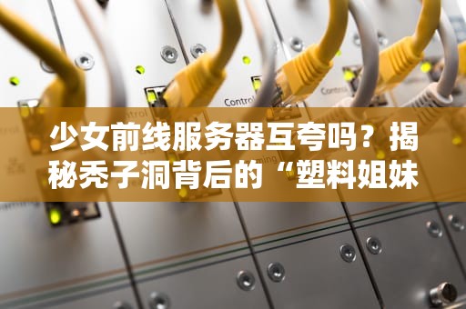 少女前线服务器互夸吗？揭秘秃子洞背后的“塑料姐妹情”