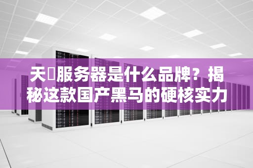 天玥服务器是什么品牌？揭秘这款国产黑马的硬核实力！