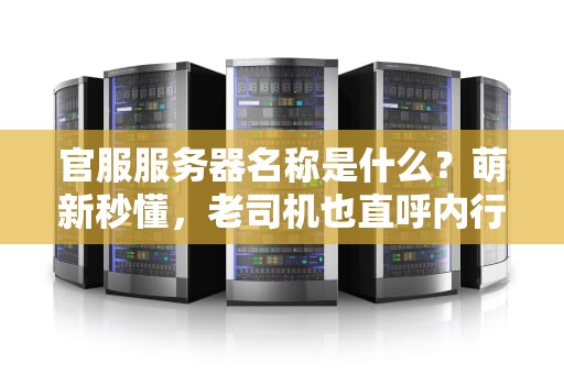 官服服务器名称是什么？萌新秒懂，老司机也直呼内行！