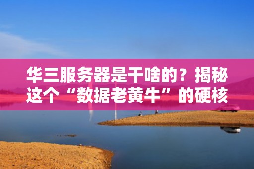 华三服务器是干啥的？揭秘这个“数据老黄牛”的硬核技能！