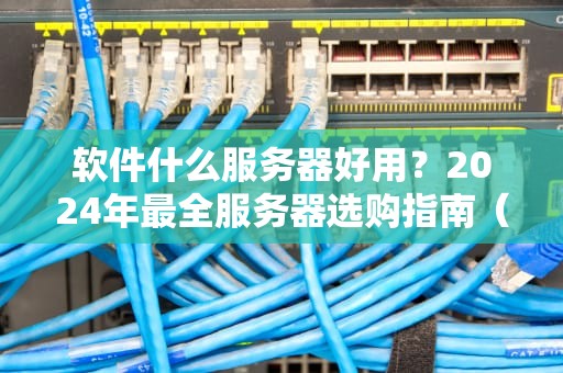 软件什么服务器好用？2024年最全服务器选购指南（附避坑彩蛋）