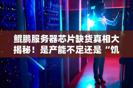 鲲鹏服务器芯片缺货真相大揭秘！是产能不足还是“饥饿营销”？