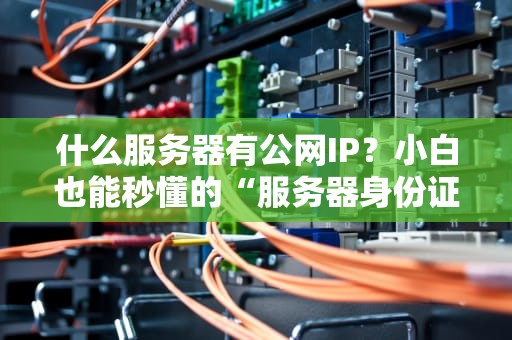 什么服务器有公网IP？小白也能秒懂的“服务器身份证”科普指南