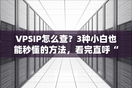 VPSIP怎么查？3种小白也能秒懂的方法，看完直呼“真香”！