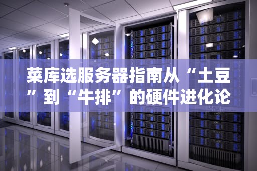 菜库选服务器指南从“土豆”到“牛排”的硬件进化论