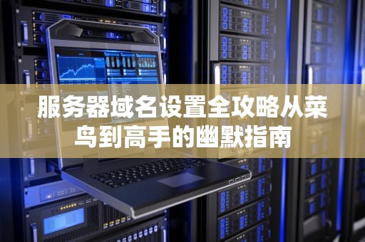 服务器域名设置全攻略从菜鸟到高手的幽默指南