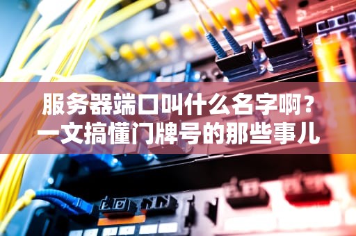 服务器端口叫什么名字啊？一文搞懂门牌号的那些事儿！