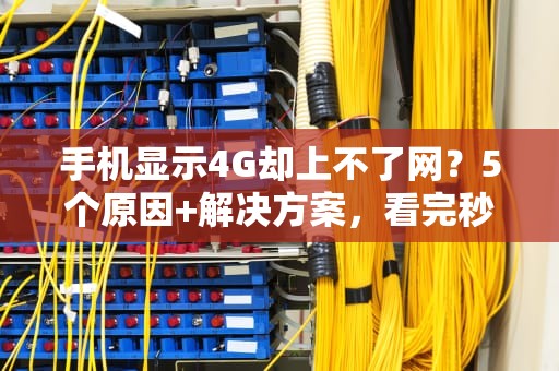 手机显示4G却上不了网？5个原因+解决方案，看完秒变网络神医！